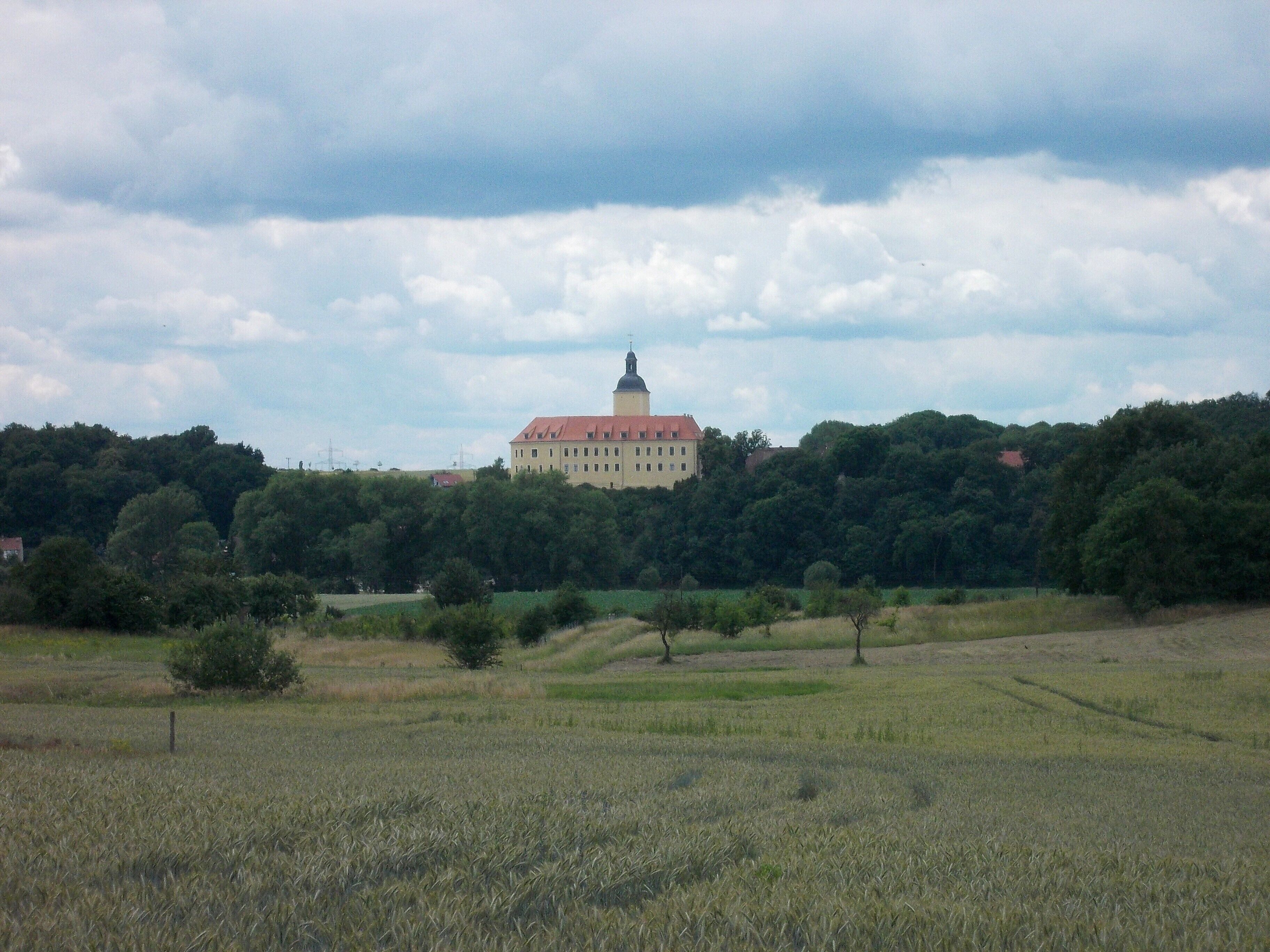 A large building with a red roof surrounded by trees and fields.