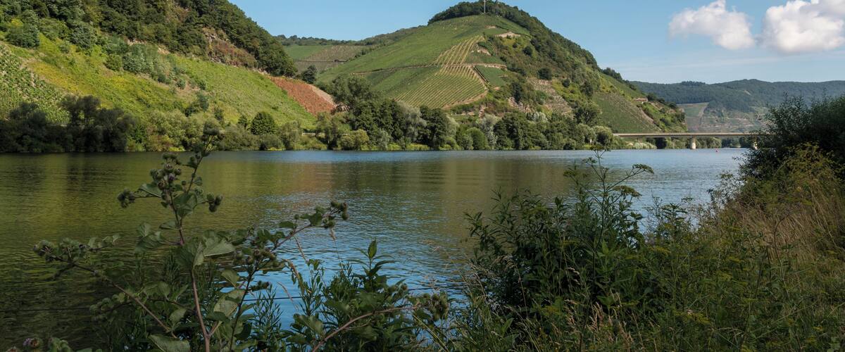Mosel (and bridge), Neumagen-Dhron, Rhineland-Palatinate, Germany