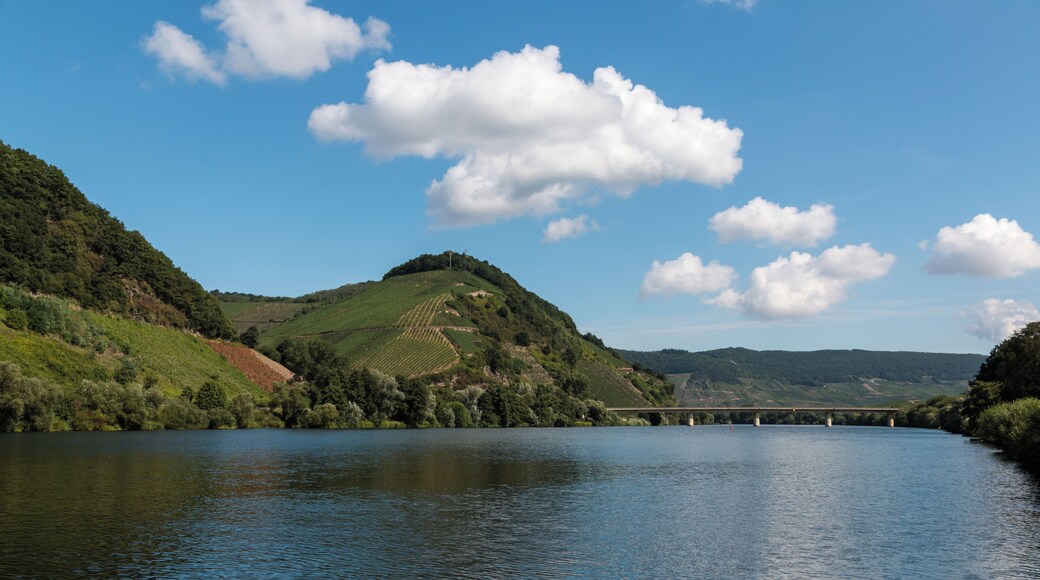 Mosel (and bridge), Neumagen-Dhron, Rhineland-Palatinate, Germany