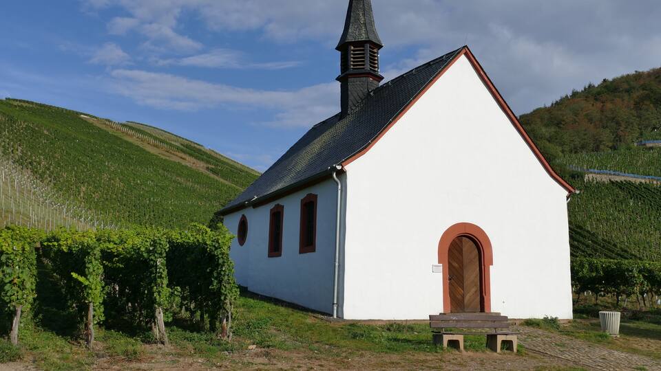 A small white church with a steep roof and a tall steeple, surrounded by lush green hills and grapevines.