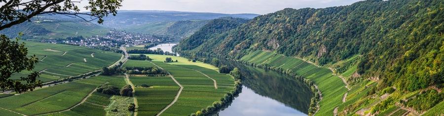 Ein Fluss schlängelt sich durch terrassenförmig angelegte Weinberge, ein Ort liegt im Tal, und ein bewaldeter Hügel erhebt sich.