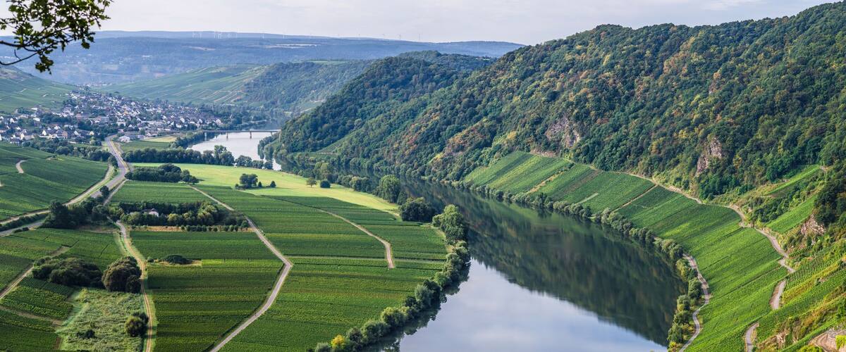 A river winding through terraced vineyards, a town in the valley, and a forested hillside.