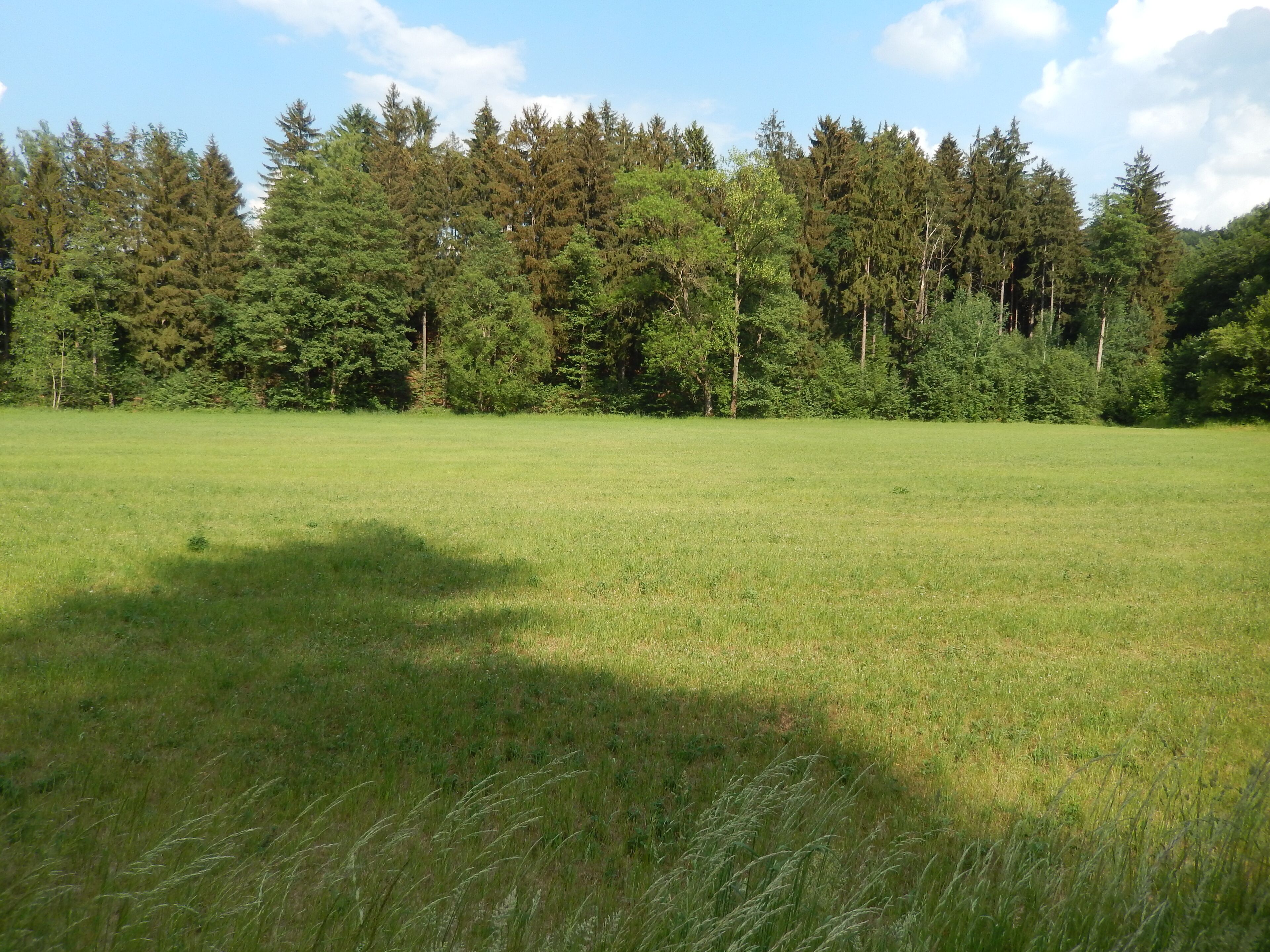 Klingenberg: an der Hintermühle LSG Tal der Wilden Weißeritz, CDDA-Code 324988