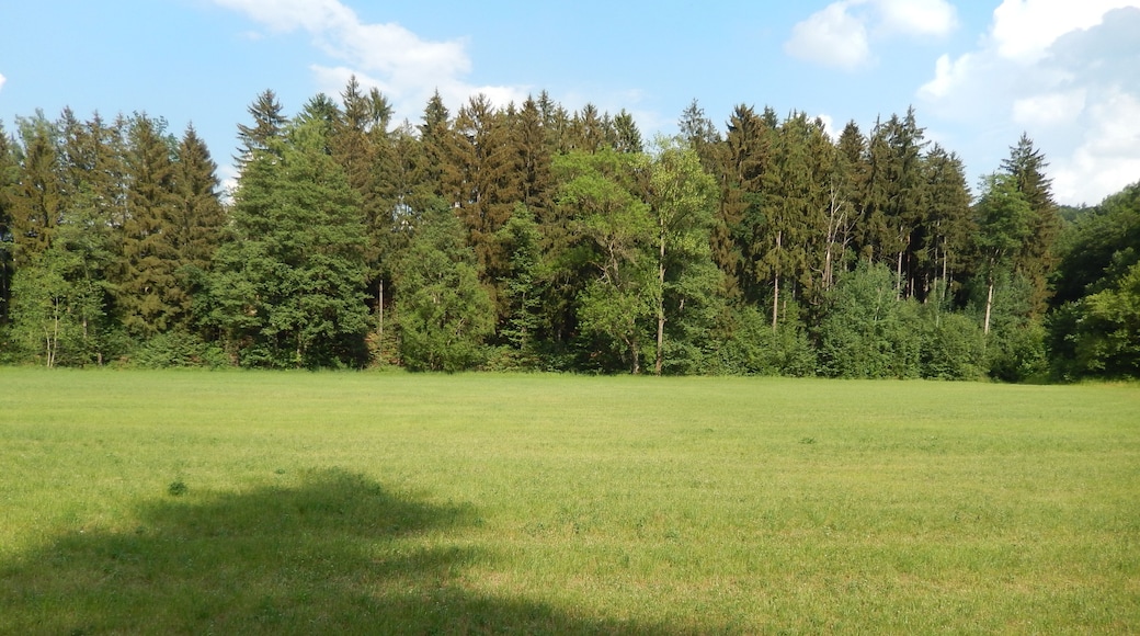 Klingenberg: an der Hintermühle LSG Tal der Wilden Weißeritz, CDDA-Code 324988