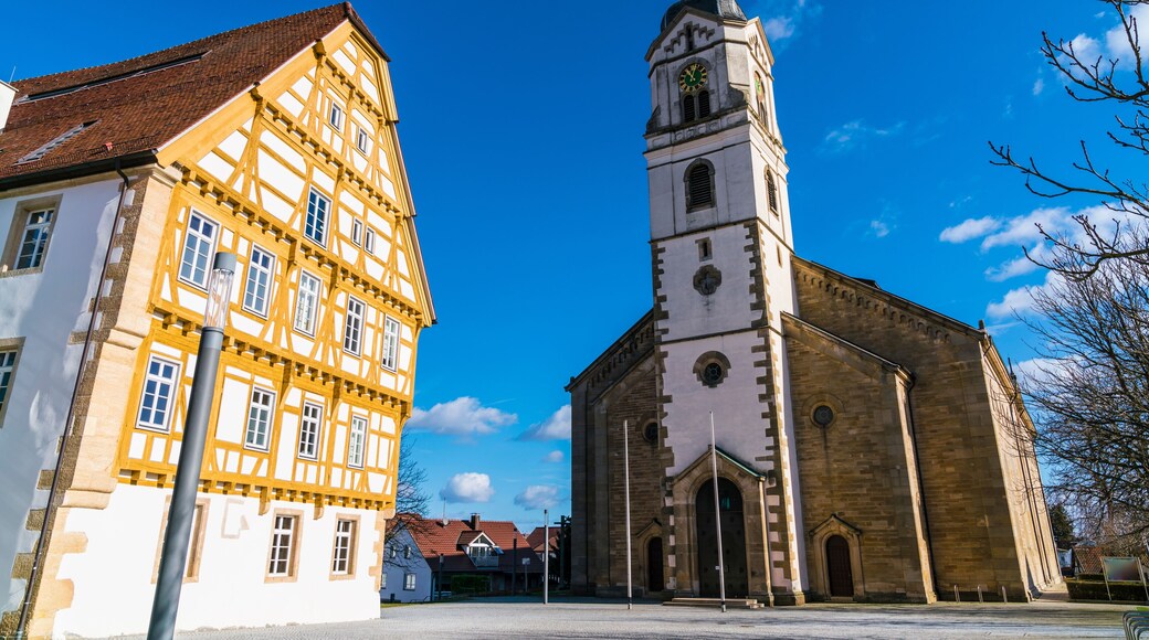 نيوهاوزن أوف دين فيلدرن