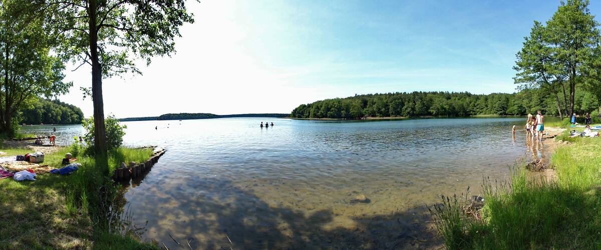 A calm lake surrounded by trees and grassy areas with people enjoying the outdoors.