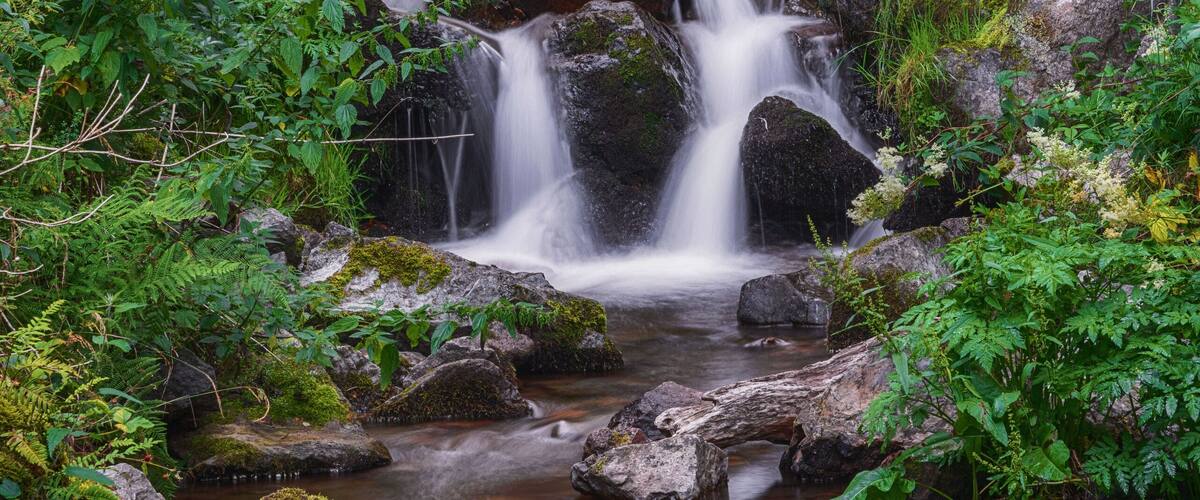 A cascading waterfall surrounded by lush greenery and moss-covered rocks.