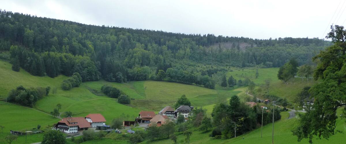 Landscape of Hinterheubronn, part of Neuenweg; 12 km from Badenweiler.