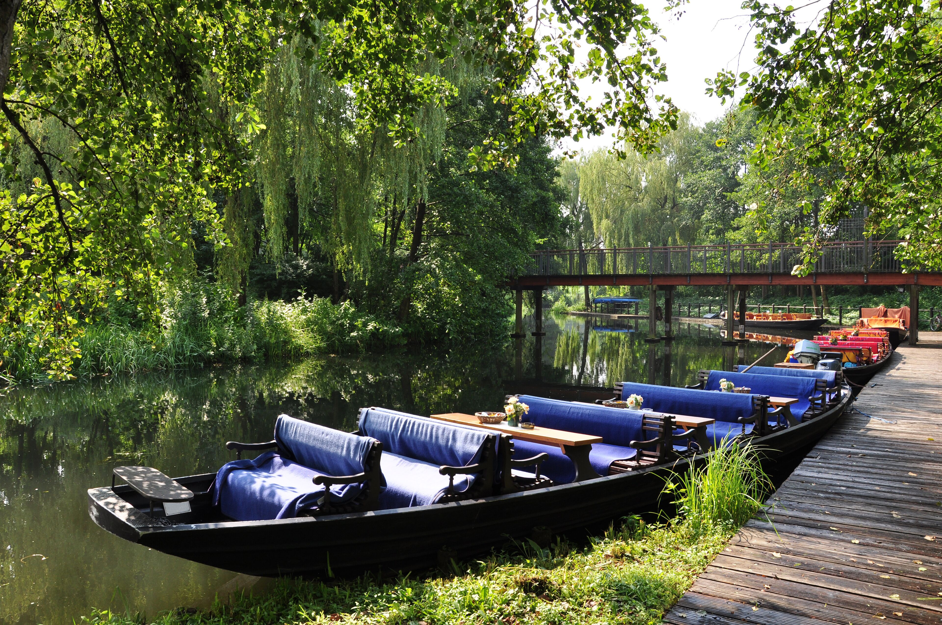 A row of canoes with blue cushions docked along a wooden pier, surrounded by lush greenery and a calm river.