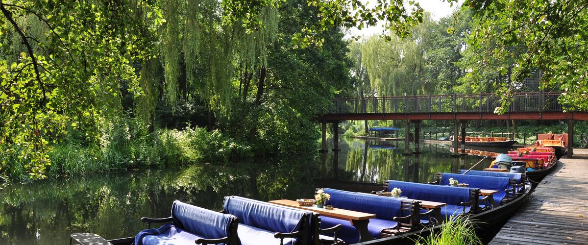 A row of canoes with blue cushions docked along a wooden pier, surrounded by lush greenery and a calm river.