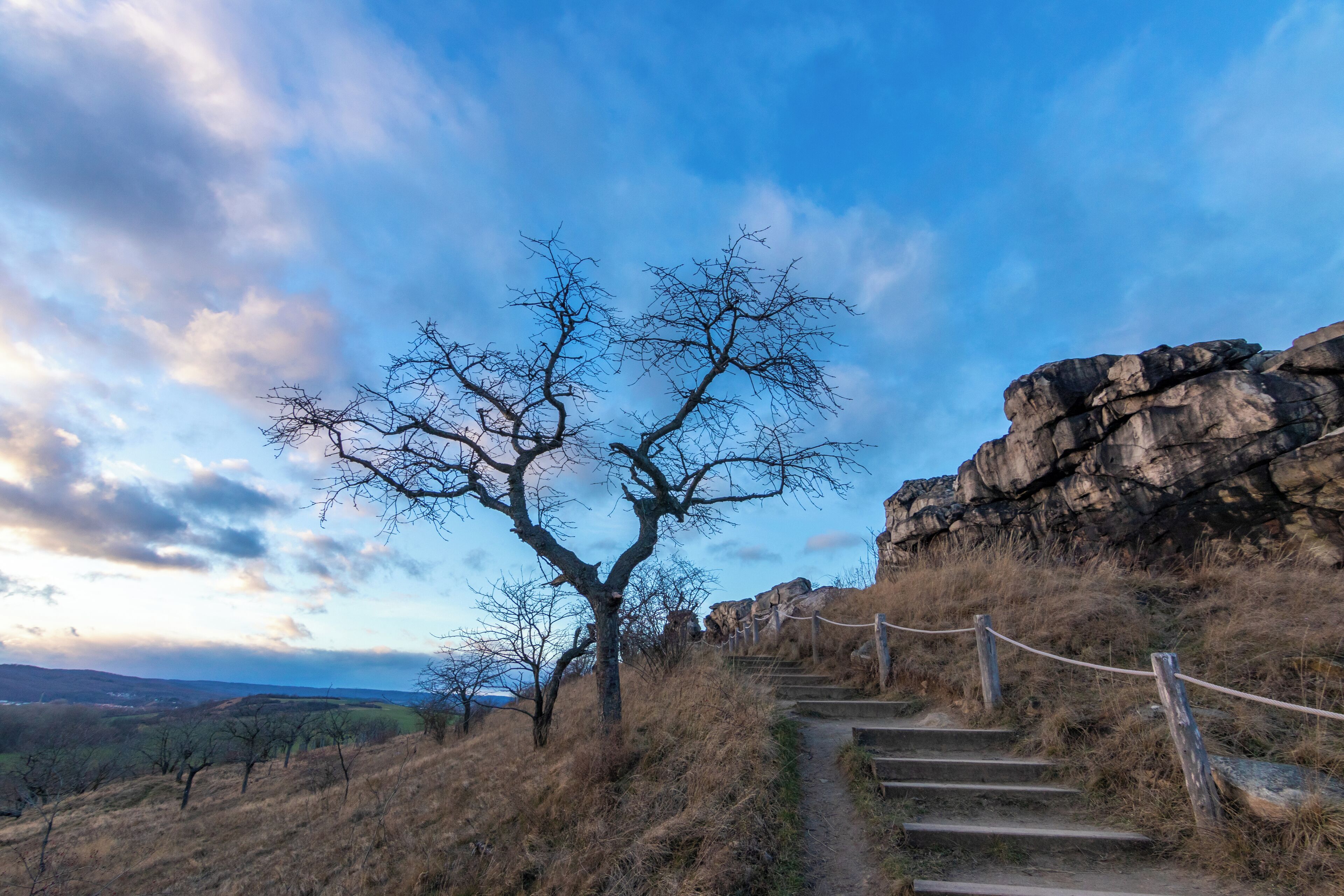 Visit Thale: 2026 Travel Guide for Thale, Saxony-Anhalt | Expedia