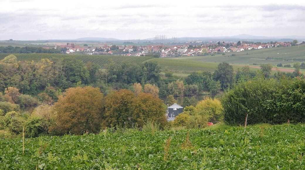 Beim 366 km langen Neckartalradweg: Blick über den Neckar