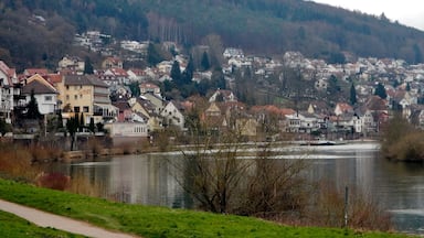 Beim 366 km langen Neckartalradweg: Neckarsteinach