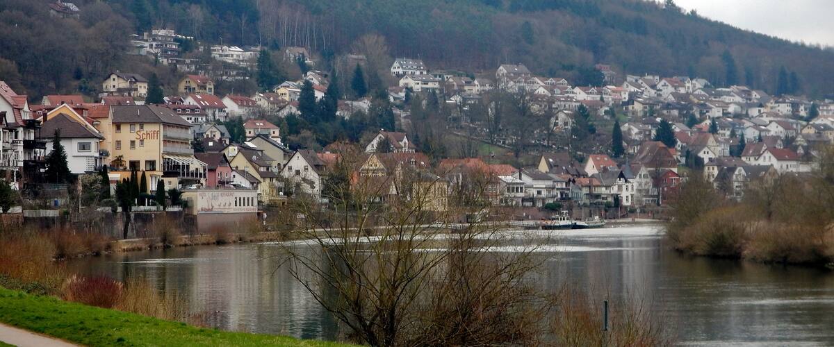 A riverside town with houses, a path, and a hill in the background.