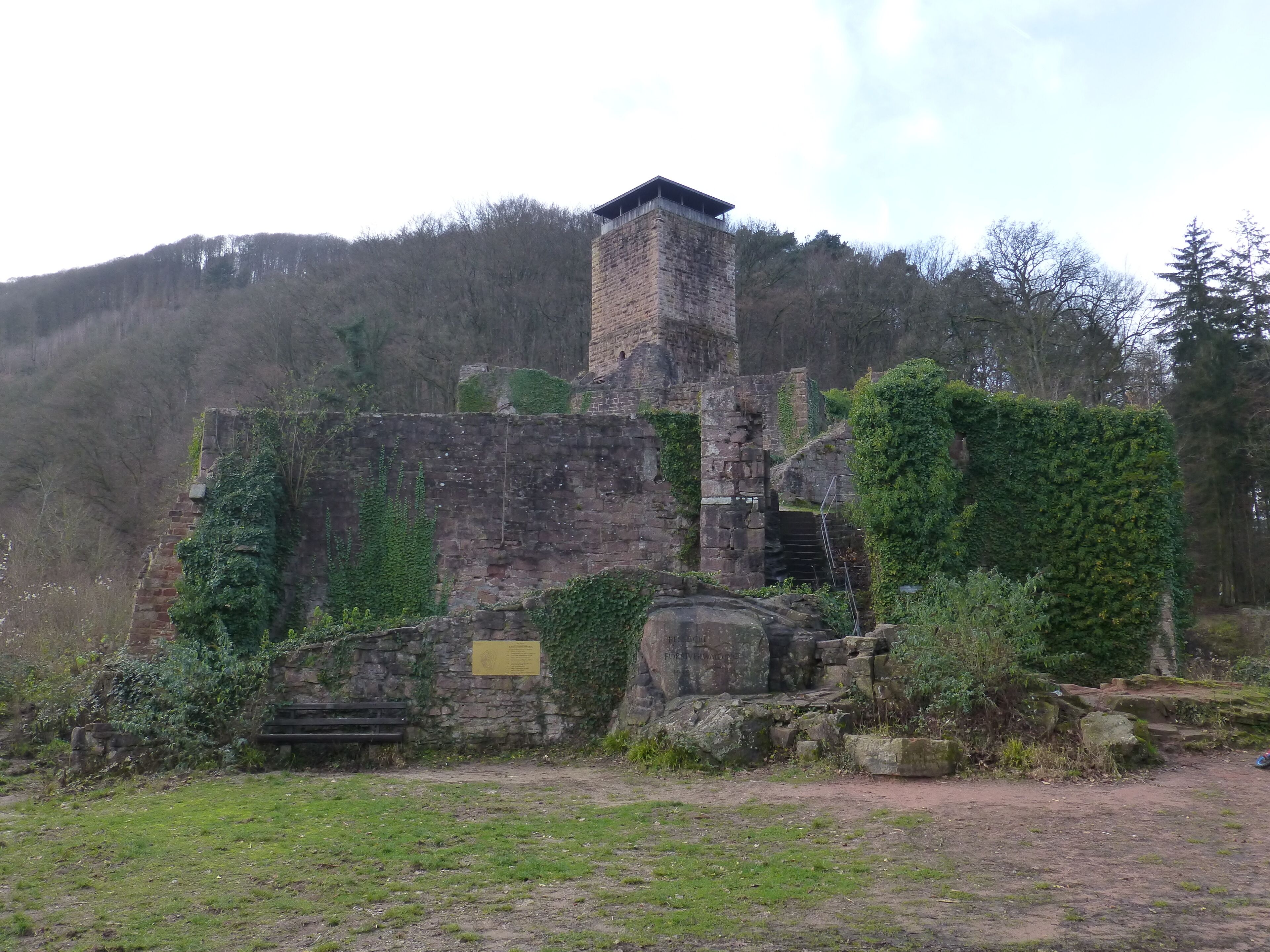Die Hinterburg in Neckarsteinach