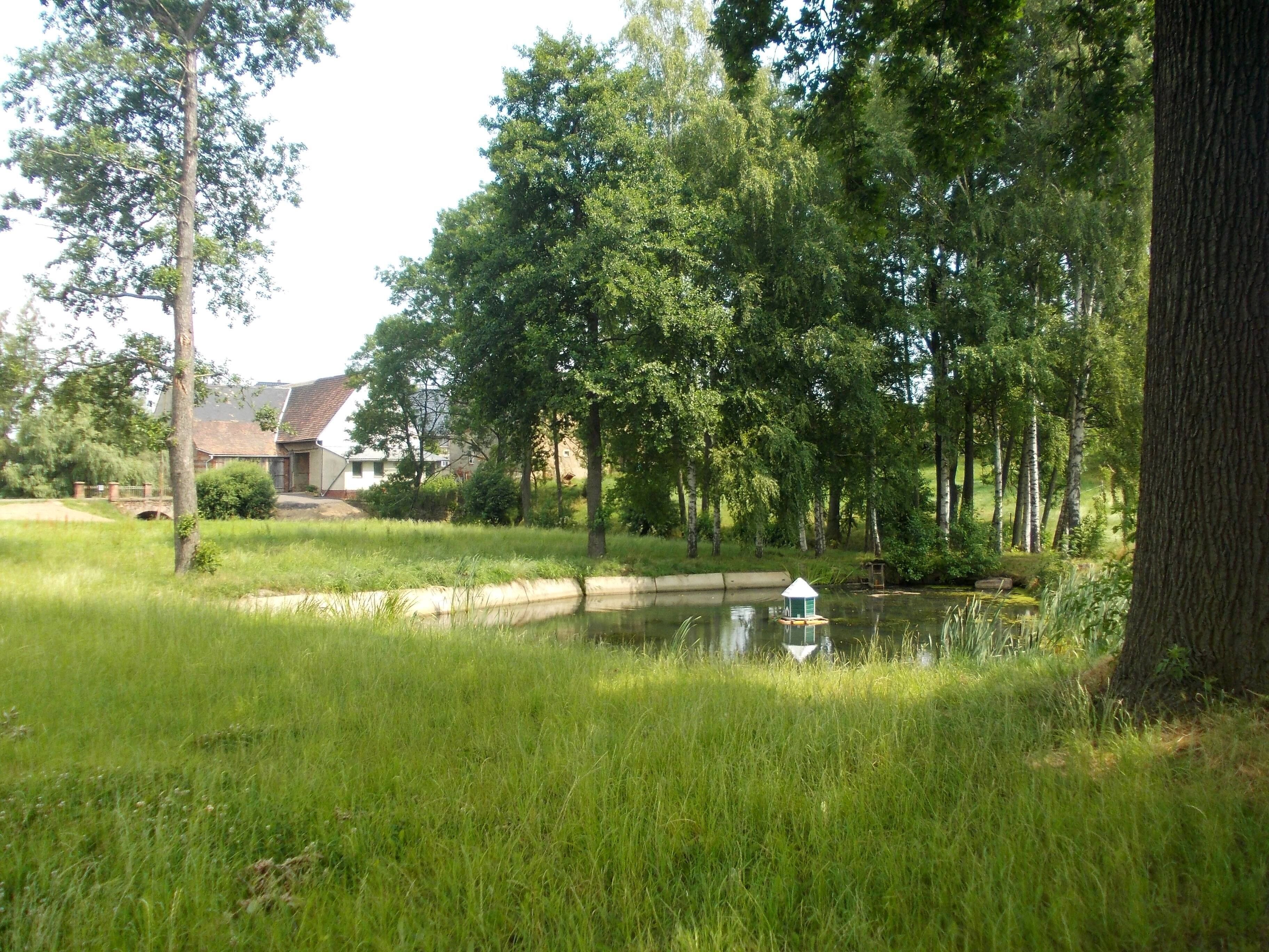 Pond in Oberpickenhain (Narsdorf, Leipzig district, Saxony)