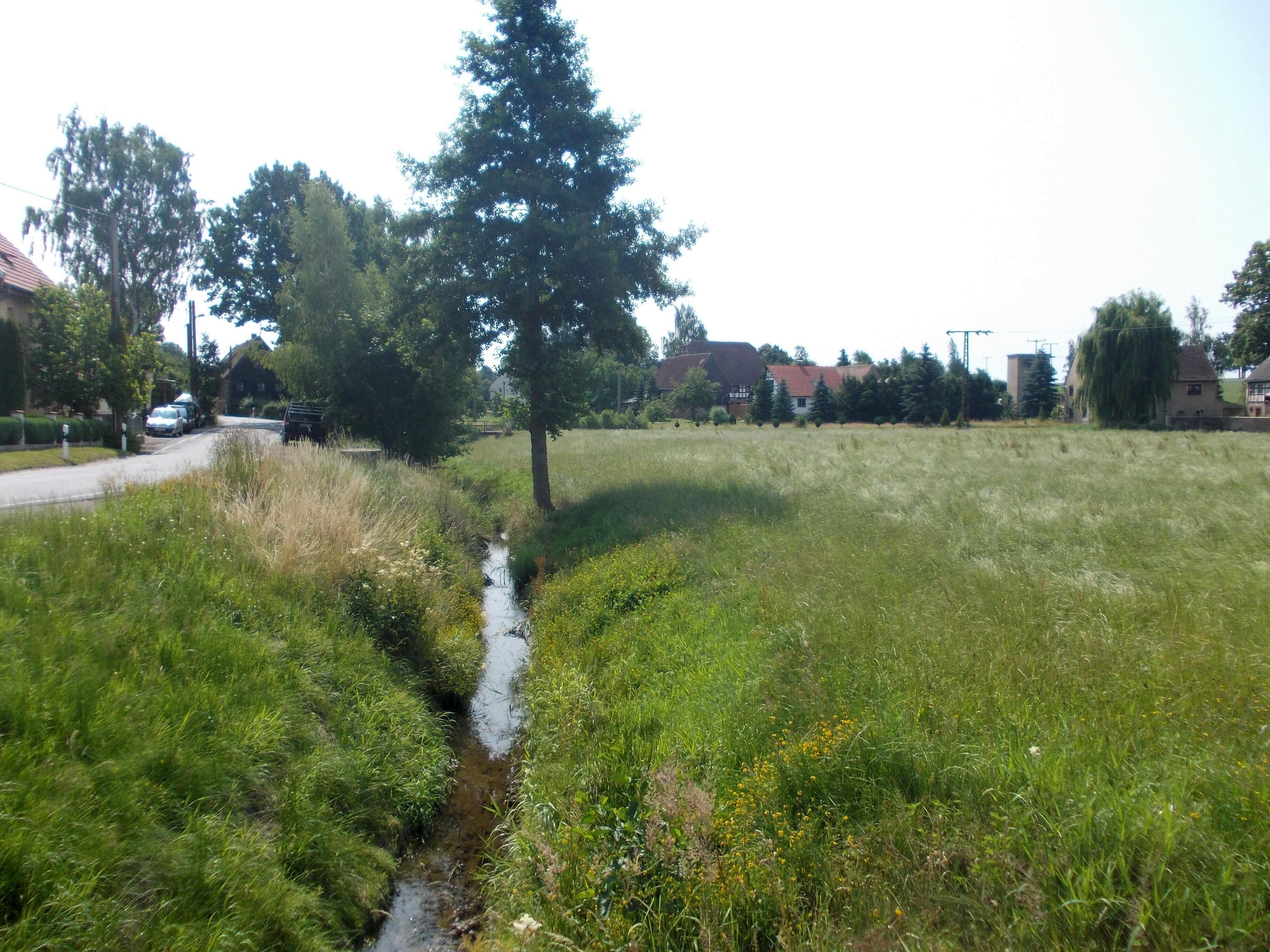 A grassy field with a small stream, trees, and houses in the background.