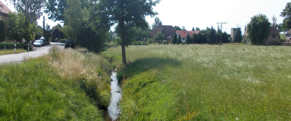 A grassy field with a small stream, trees, and houses in the background.