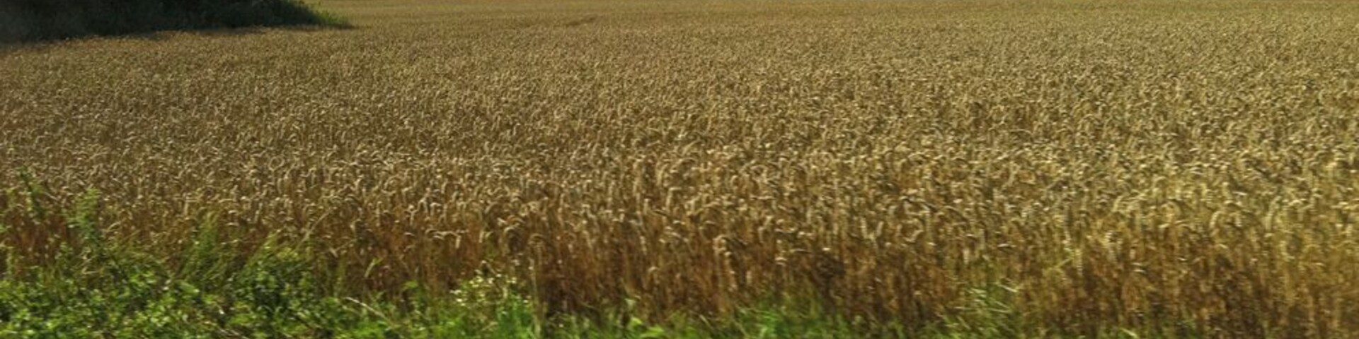 Alemanha, julho de 2011