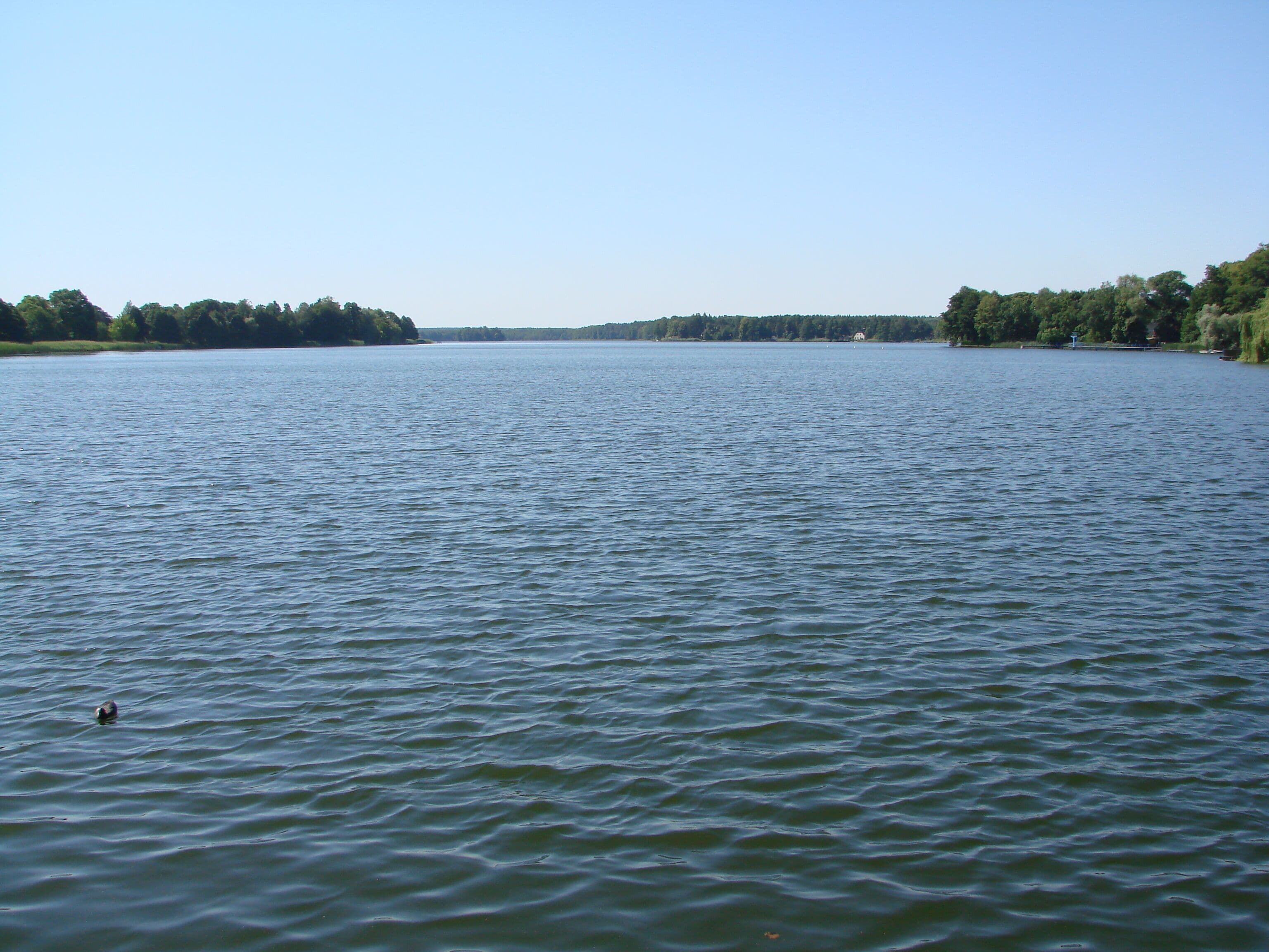 A calm lake with a forested shoreline and a distant building.