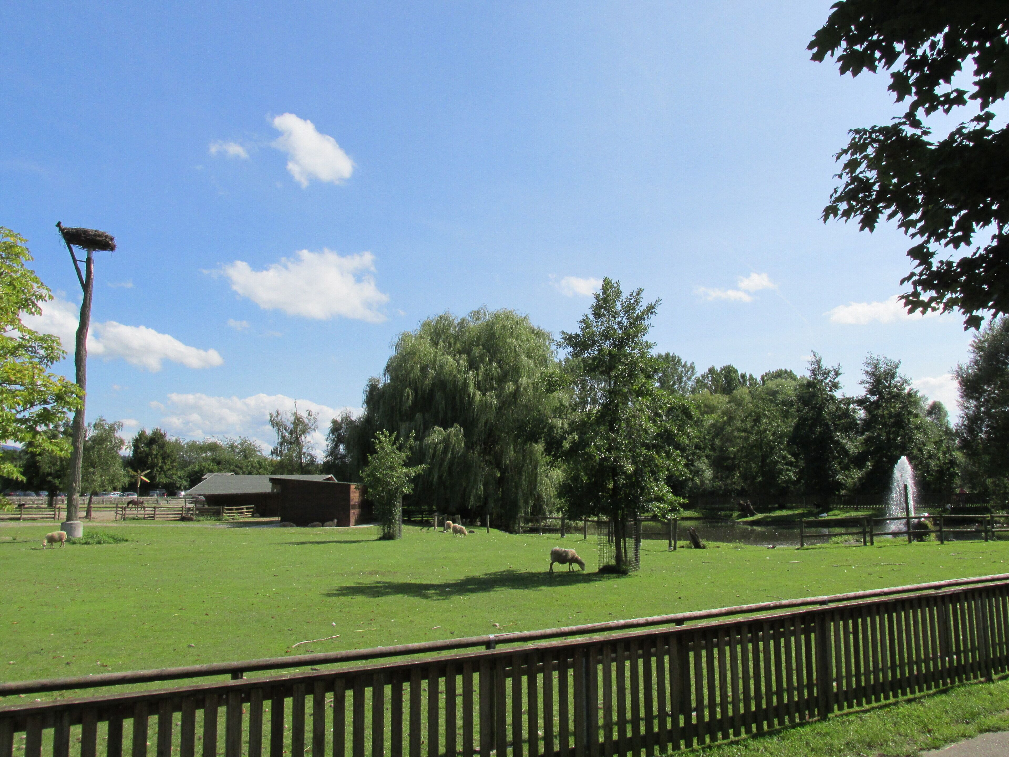 Tiergehege - Muggensturm