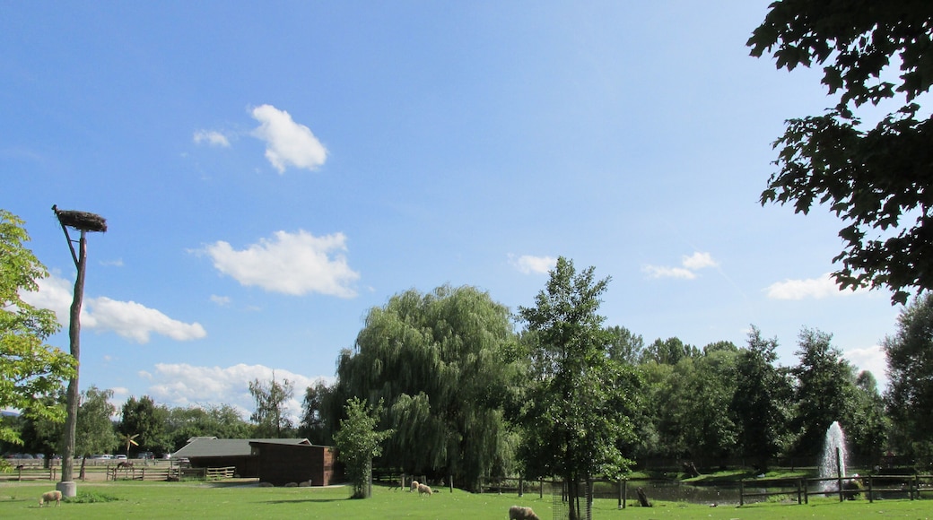 Tiergehege - Muggensturm