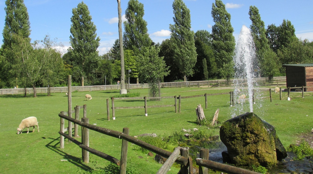 Tierpark - Muggensturm