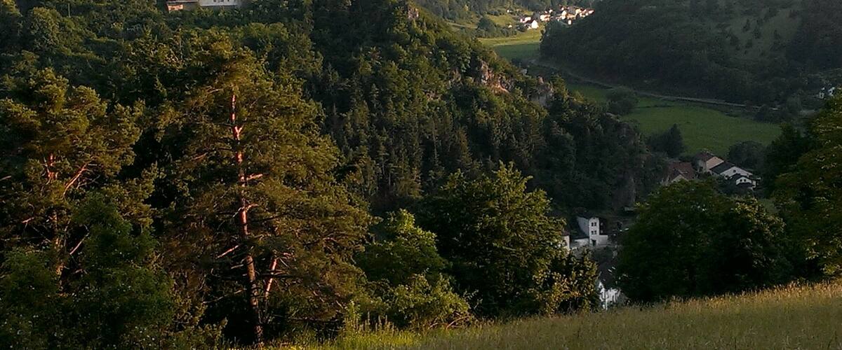 A valley with a large house on a hill, surrounded by dense forest and rolling hills.