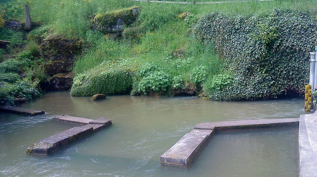 Die drei Quellaustritte der Gailachquelle