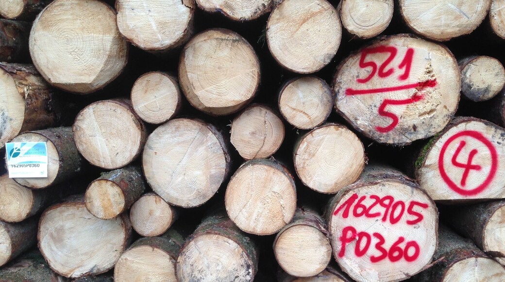 Holzpolter Beschriftung