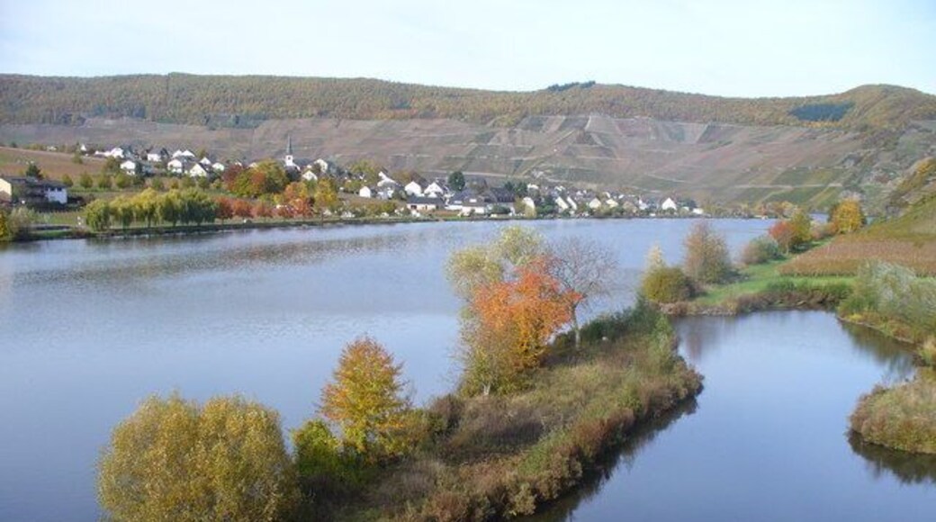 Die Mosel bei Minheim