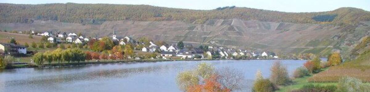 Die Mosel bei Minheim
