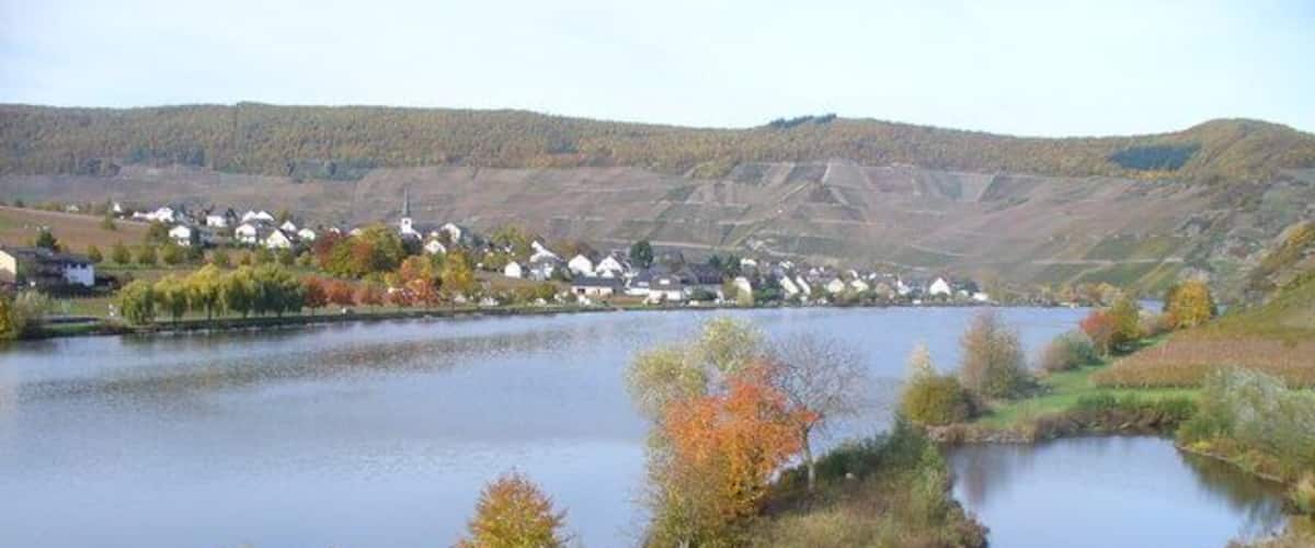 Die Mosel bei Minheim