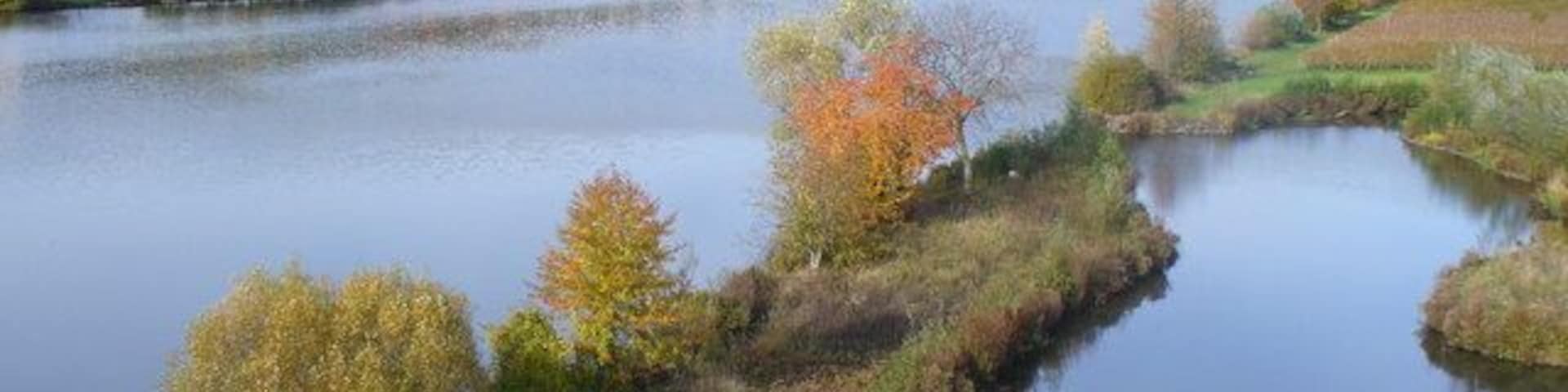 Die Mosel bei Minheim