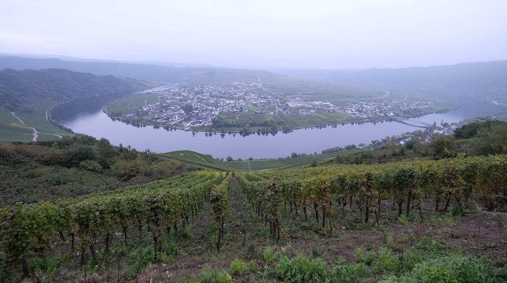 54518 Minheim, Germany