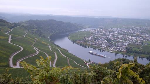 54518 Minheim, Germany