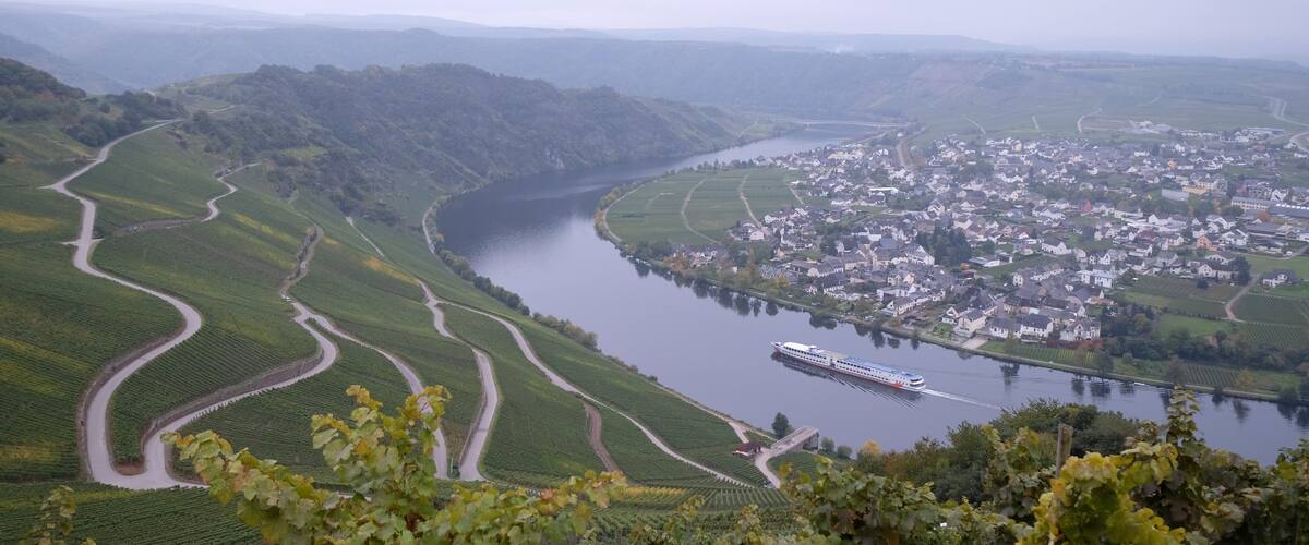 A river winding through a valley with vineyards and a town.