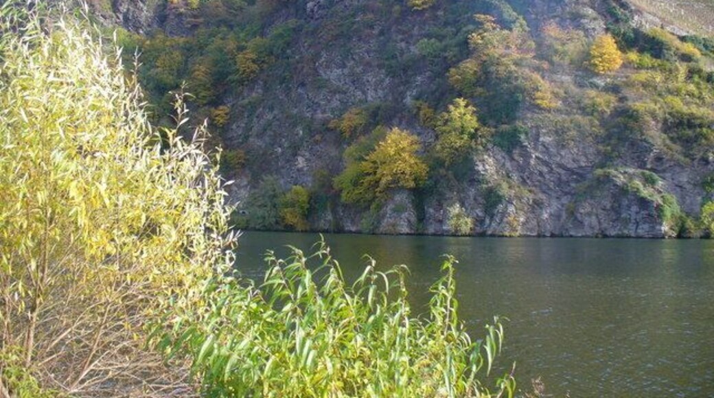 Felsmassiv an der Mosel (Rocky Cliff Face on the Moselle)