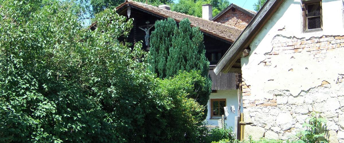 A rural house with a stone facade, surrounded by lush greenery and trees.