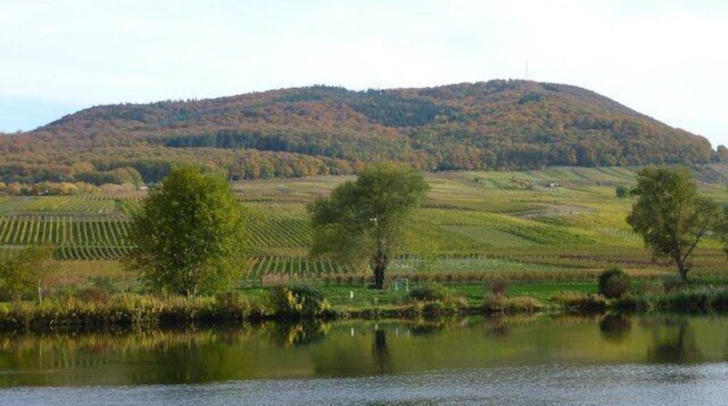 Das Moseltal bei Mesenich