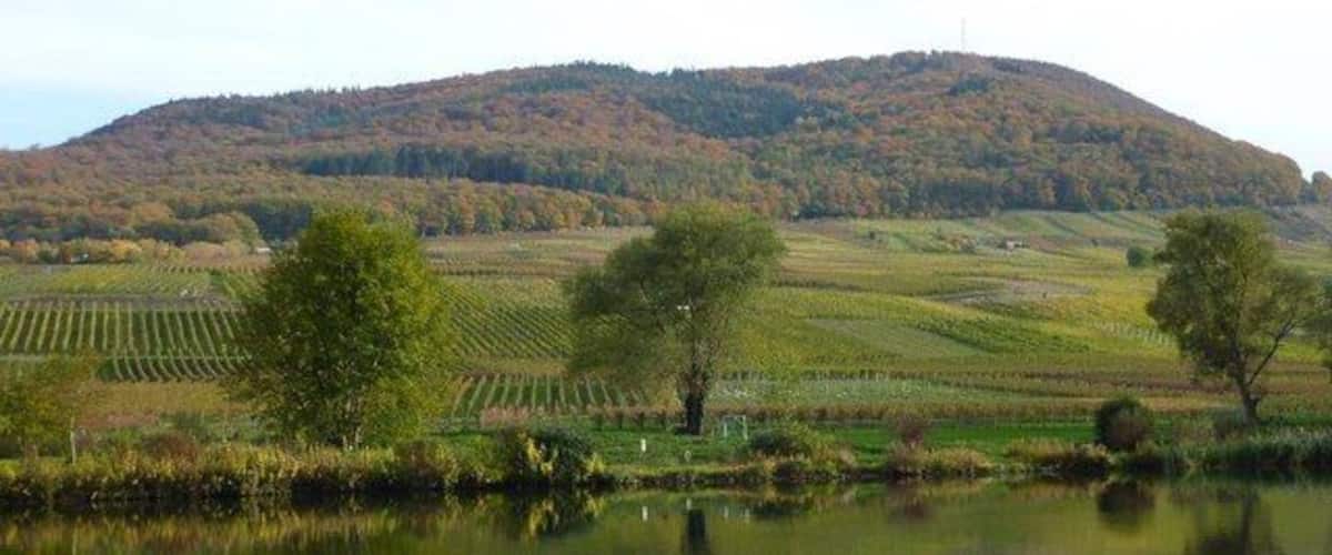A lake with a forested hill in the background.