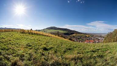 A vineyard, rolling hills, a small town, and a mountain in the distance.