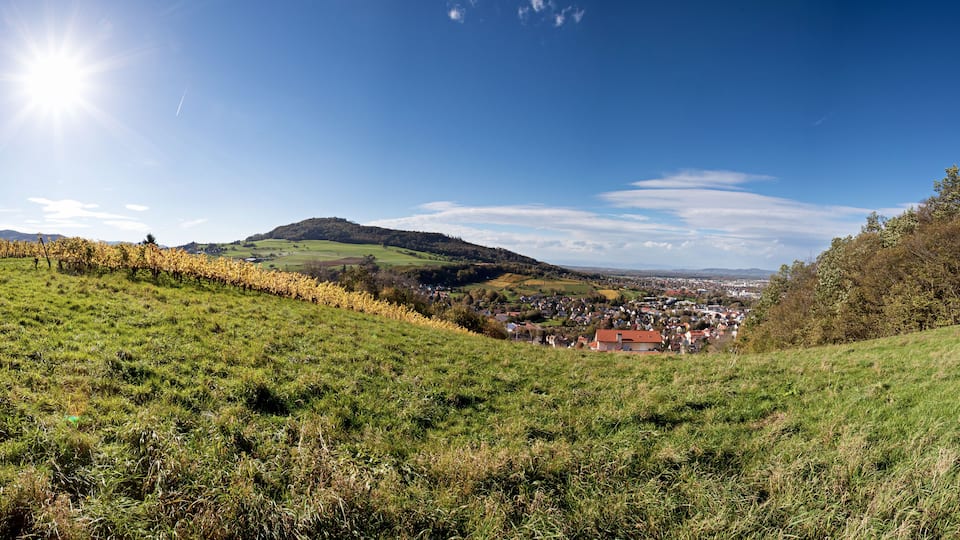 A vineyard, rolling hills, a small town, and a mountain in the distance.