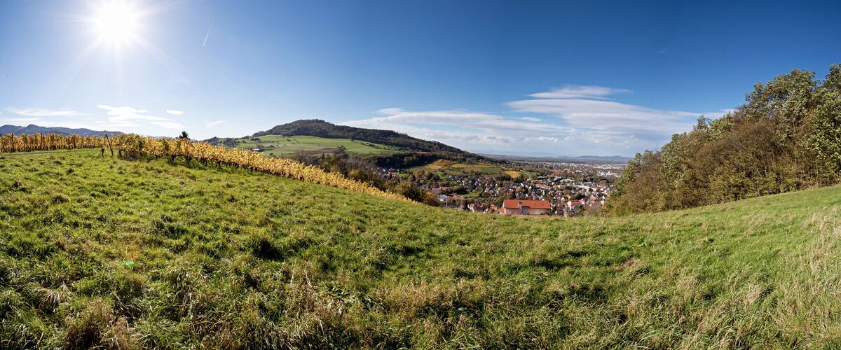 A vineyard, rolling hills, a small town, and a mountain in the distance.