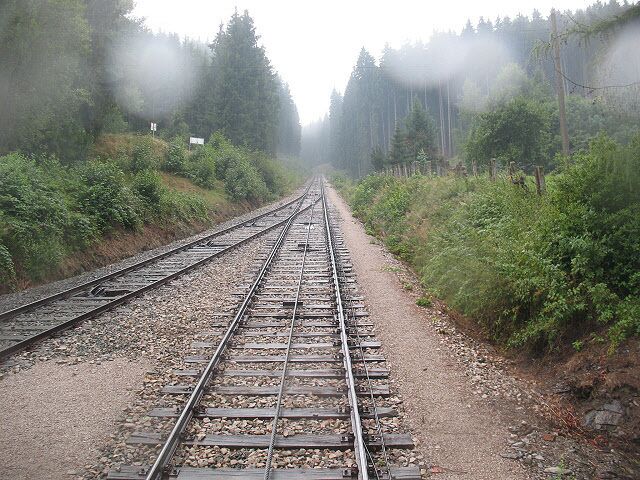 A railway track surrounded by dense forest and mist.