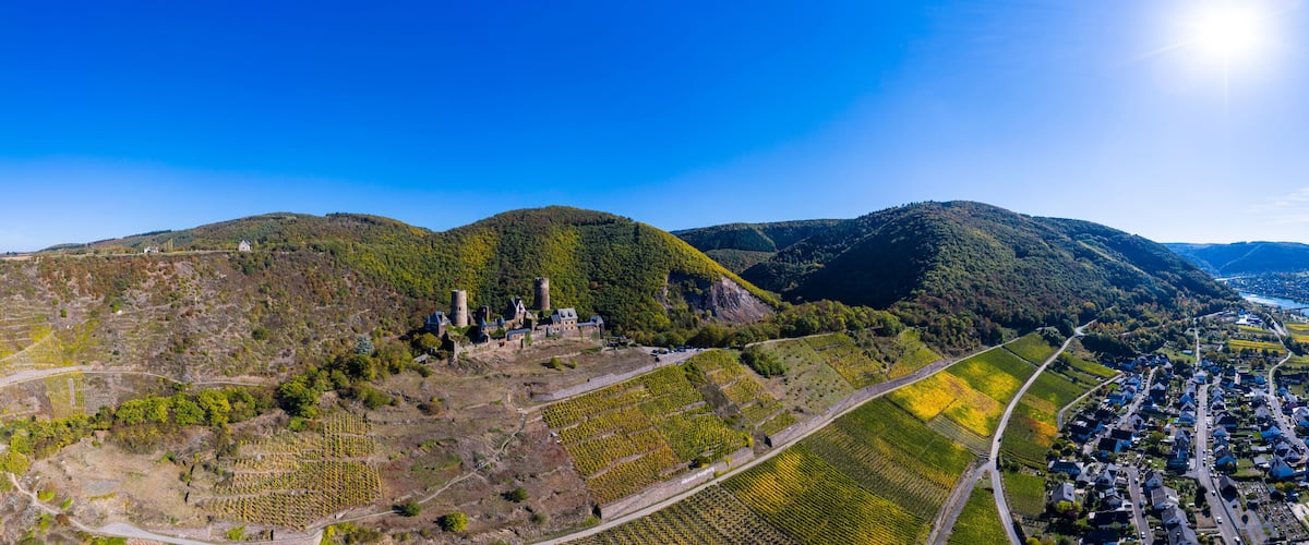 A vineyard with terraced fields, a castle, and a village.