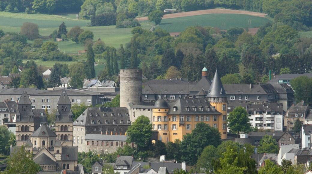 aerial view of Mayen from the castle