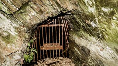 A cave entrance with a barred gate, moss-covered walls, and a small fern growing at the base.