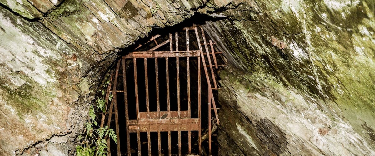 A cave entrance with a barred gate, moss-covered walls, and a small fern growing at the base.