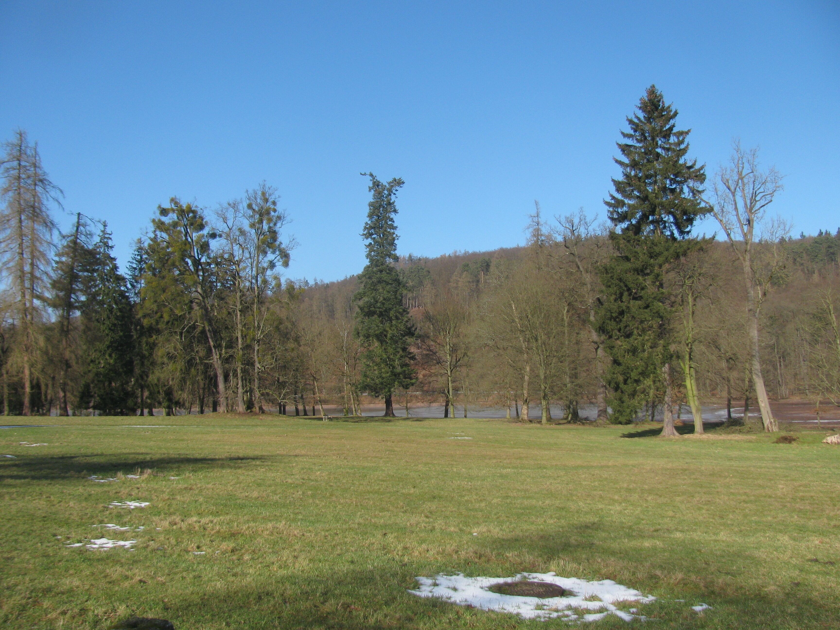 Blick vom Park des Schlosses Wilhelmsthal über den Wilhelmsthaler See zum Karthäuserberg